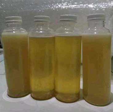 Pengobatan alat vital Semarang