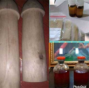 Pengobatan alat vital Semarang