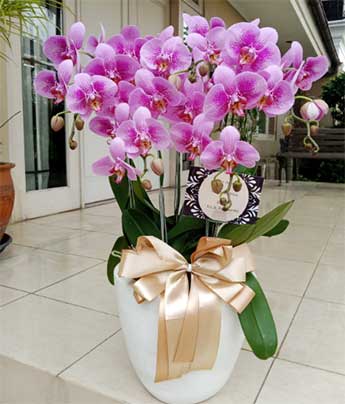 melany-florist-01