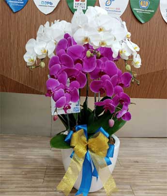 melany-florist-02