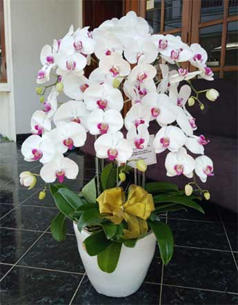 melany-florist-03